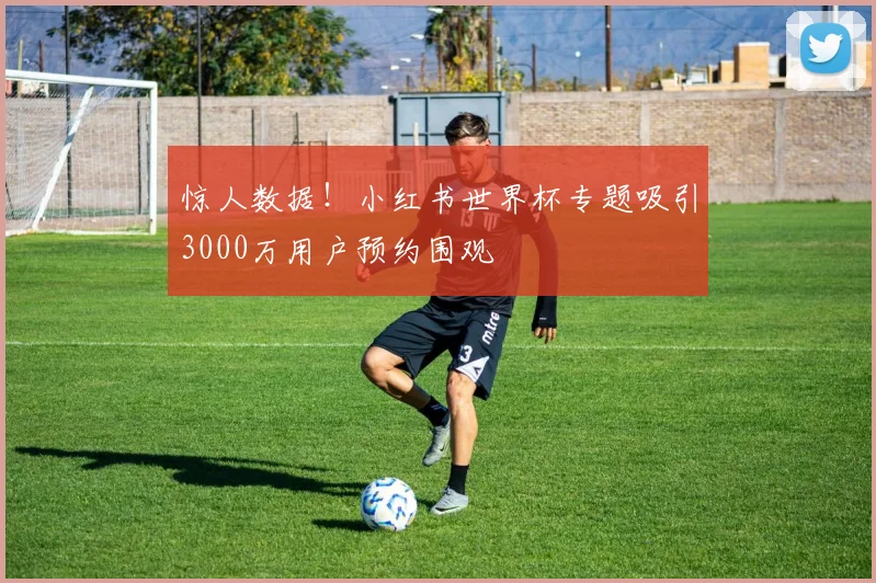 惊人数据！小红书世界杯专题吸引3000万用户预约围观